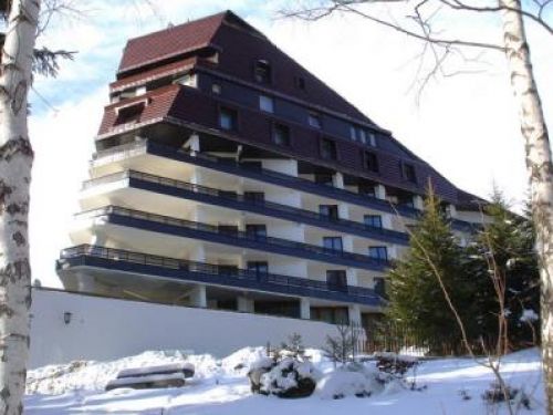 Hotel Alpin Poiana Braşov