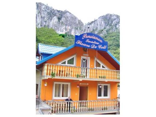 Pension Floare De Colt Baile Herculane (Herkulesbad)