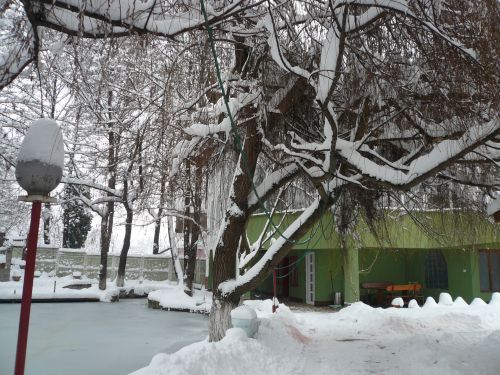 Casa Brancusi Panzió Pestisani